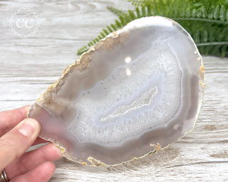 Brazilian Agate Slice #1