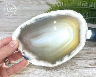 Brazilian Agate Slice #4