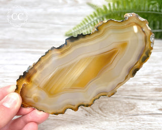 Brazilian Agate Slice #17