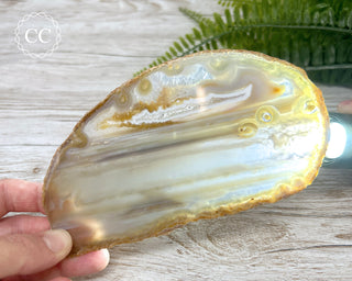 Brazilian Agate Slice #7