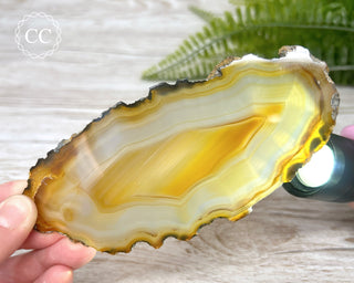 Brazilian Agate Slice #17