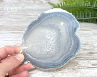 Brazilian Agate Slice #6