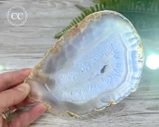 Brazilian Agate Slice #1