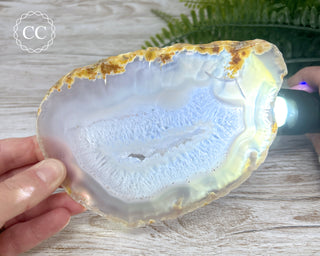 Brazilian Agate Slice #1