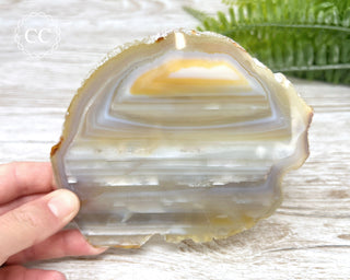 Brazilian Agate Slice #12