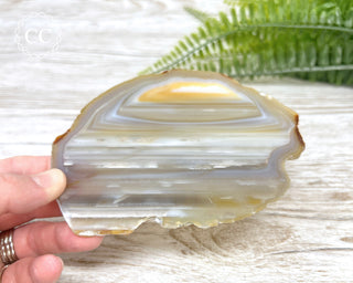 Brazilian Agate Slice #12