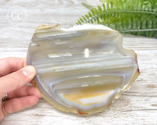 Brazilian Agate Slice #12