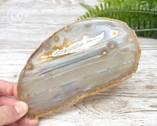 Brazilian Agate Slice #7