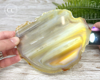 Brazilian Agate Slice #12