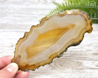 Brazilian Agate Slice #17