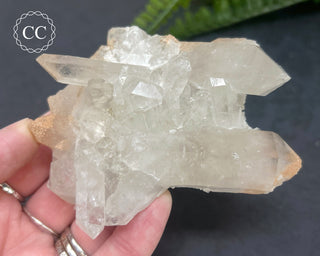 Brazilian Quartz Cluster #1