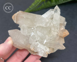 Brazilian Quartz Cluster #1