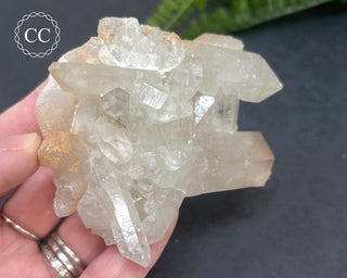 Brazilian Quartz Cluster #1