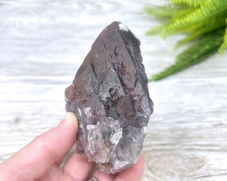 Brazilian Red Amethyst #1