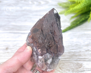 Brazilian Red Amethyst #1