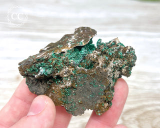 Brochantite Specimen #1