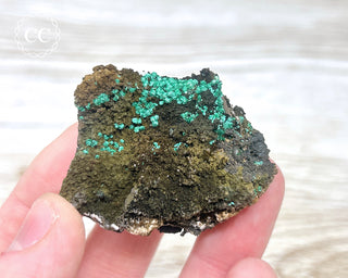 Brochantite Specimen #2