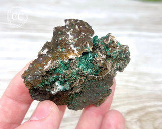 Brochantite Specimen #1