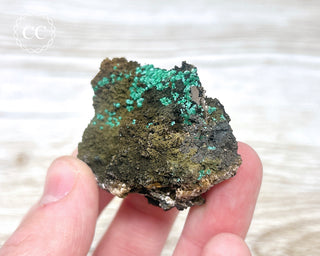Brochantite Specimen #2