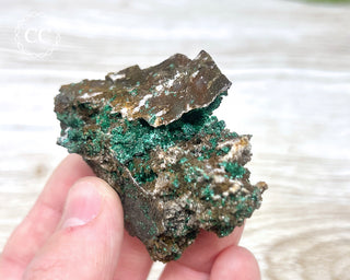 Brochantite Specimen #1