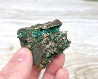 Brochantite Specimen #1