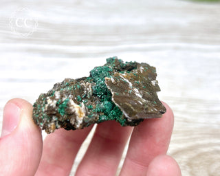 Brochantite Specimen #1