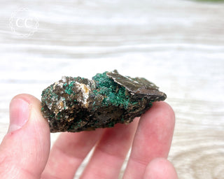 Brochantite Specimen #1