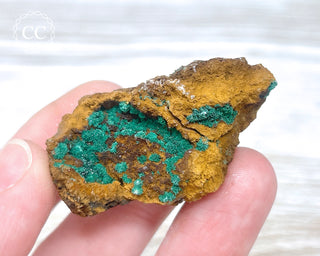 Brochantite Specimen #1