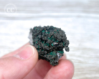 Brochantite Specimen #2