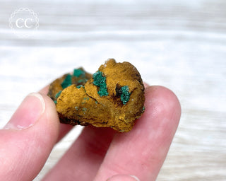 Brochantite Specimen #1