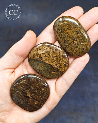Bronzite Palm Stone