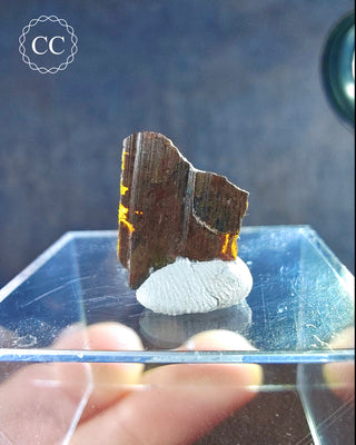 Brookite Crystal from Pakistan on box, on a blue background