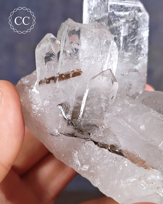 Brookite In Quartz #1