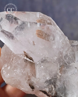 Brookite In Quartz #1