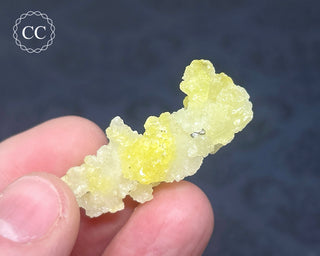 Brucite Specimen #8