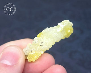 Brucite Specimen #8
