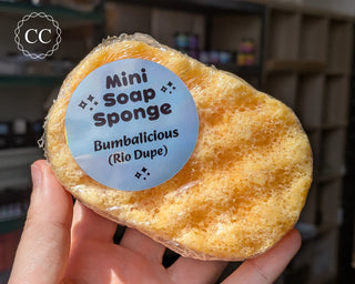 Bumbalicious Soap Sponge