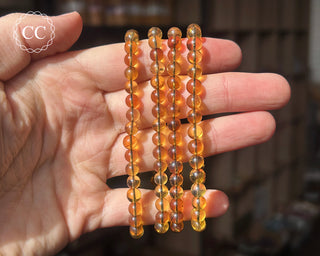 Burmese Amber 6mm Beaded Bracelets on hand