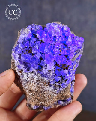 Burtree Slits Fluorite Specimen #13