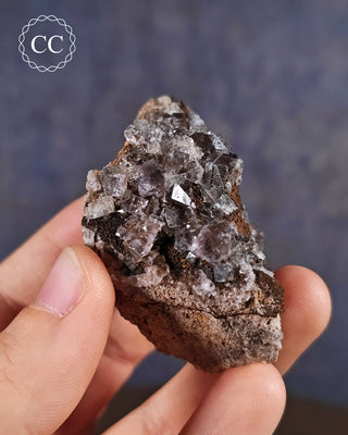 Burtree Slits Fluorite Specimen in hand, on a blue background