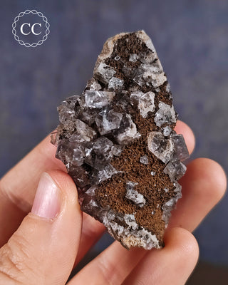 Burtree Slits Fluorite Specimen #16