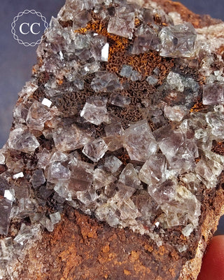 Burtree Slits Fluorite Specimen #4