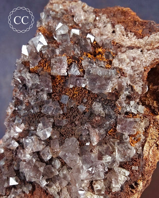 Burtree Slits Fluorite Specimen #4