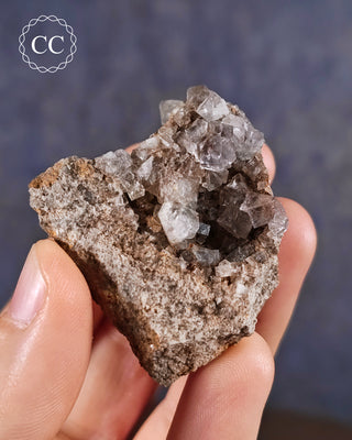 Burtree Slits Fluorite Specimen in hand, on a blue background
