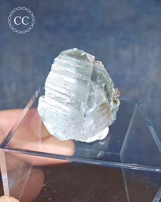 A  Calcite crystal with Marcasite inclusions from the Linwood Mine, Buffalo, Iowa displayed on a clear box