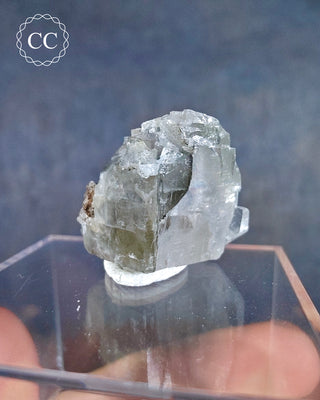 Calcite Crystal with Marcasite inclusions #9