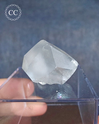 A  Calcite crystal with Marcasite inclusions from the Linwood Mine, Buffalo, Iowa displayed on a clear box