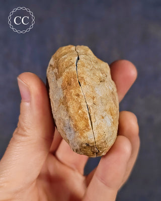 Calcite Geode - Hamiliton, llinois #2