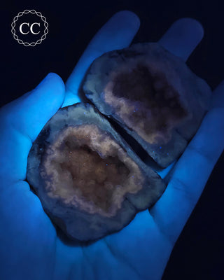 Calcite Geode - Hamiliton, llinois #2