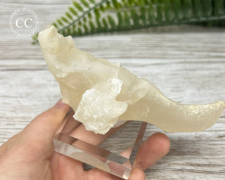 Calcite Stalactite #1